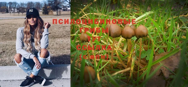 Альфа ПВП Абдулино
