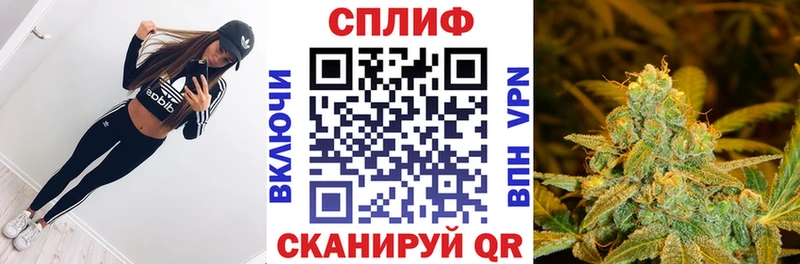 Конопля THC 21%  гидра   Назрань  цены наркотик 